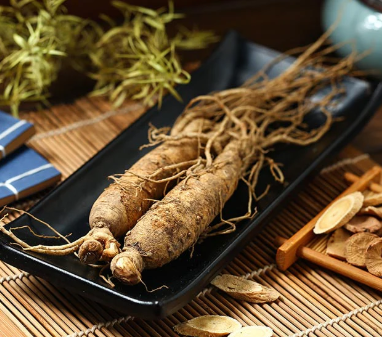 Panax Ginseng